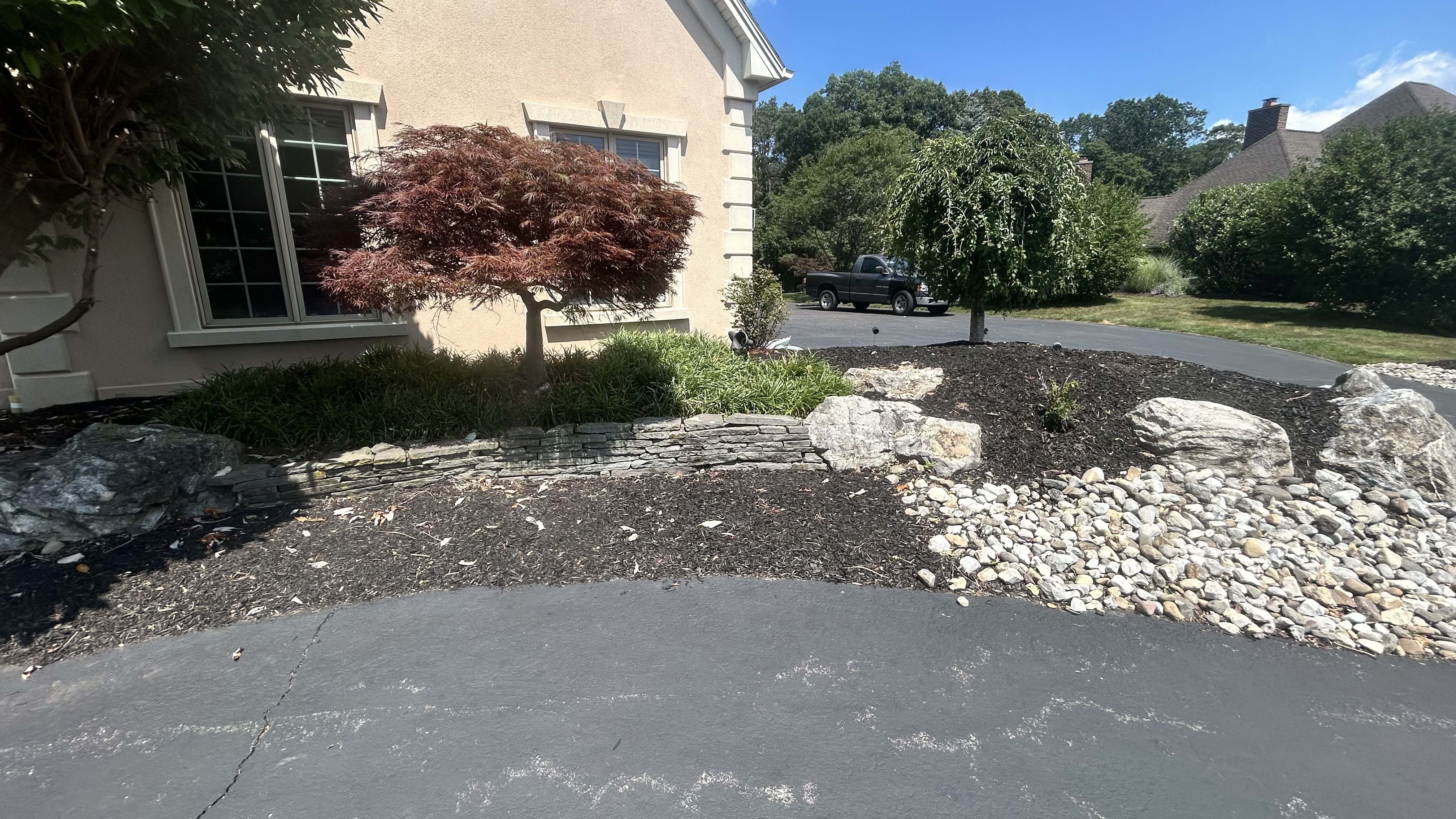 Before: Japanese maple area requiring professional landscaping