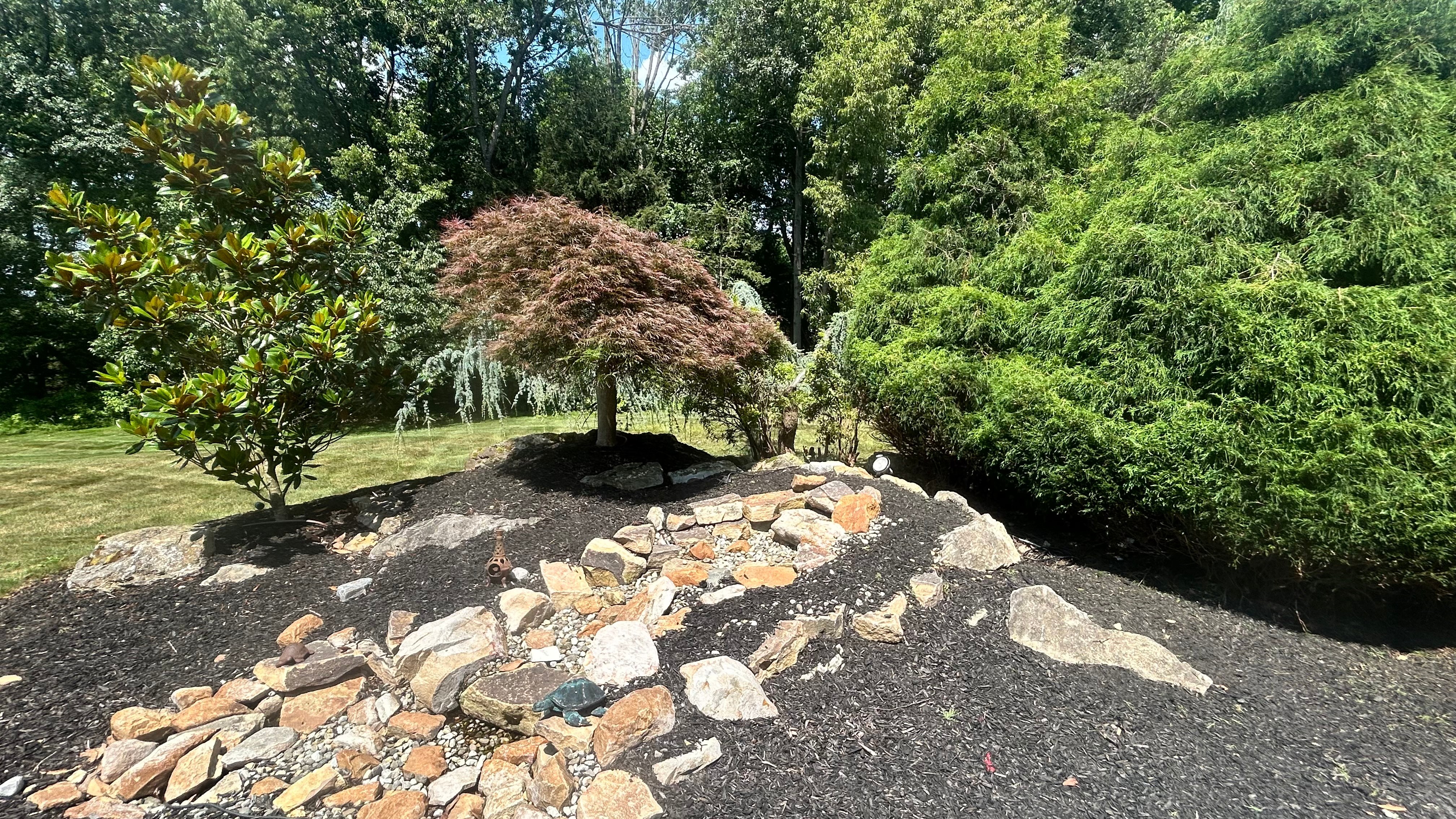 Beautiful Japanese Maple Tree Landscape Design with Ornamental Grasses and Decorative Rock Arrangements