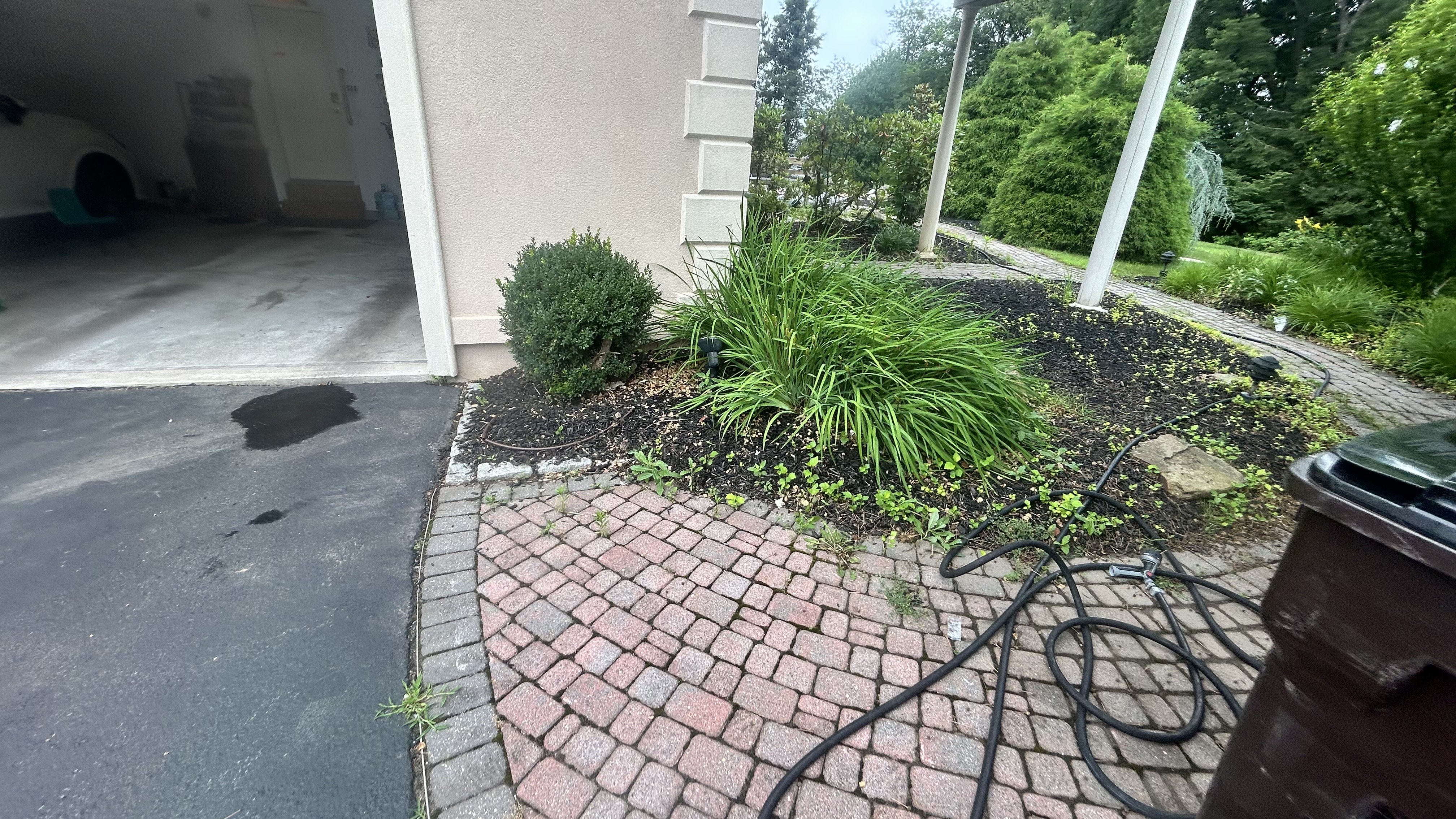 Before: Overgrown landscape area needing professional transformation